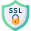 Ücretsiz SSL